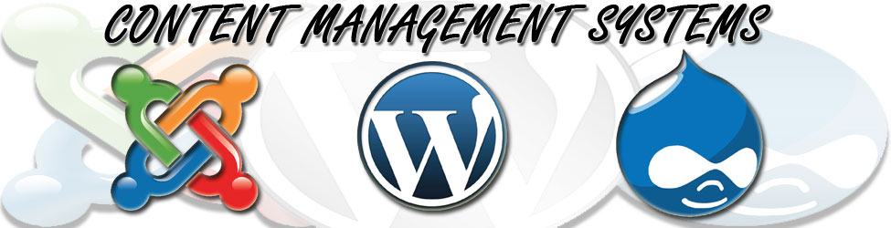 Content Management Systems